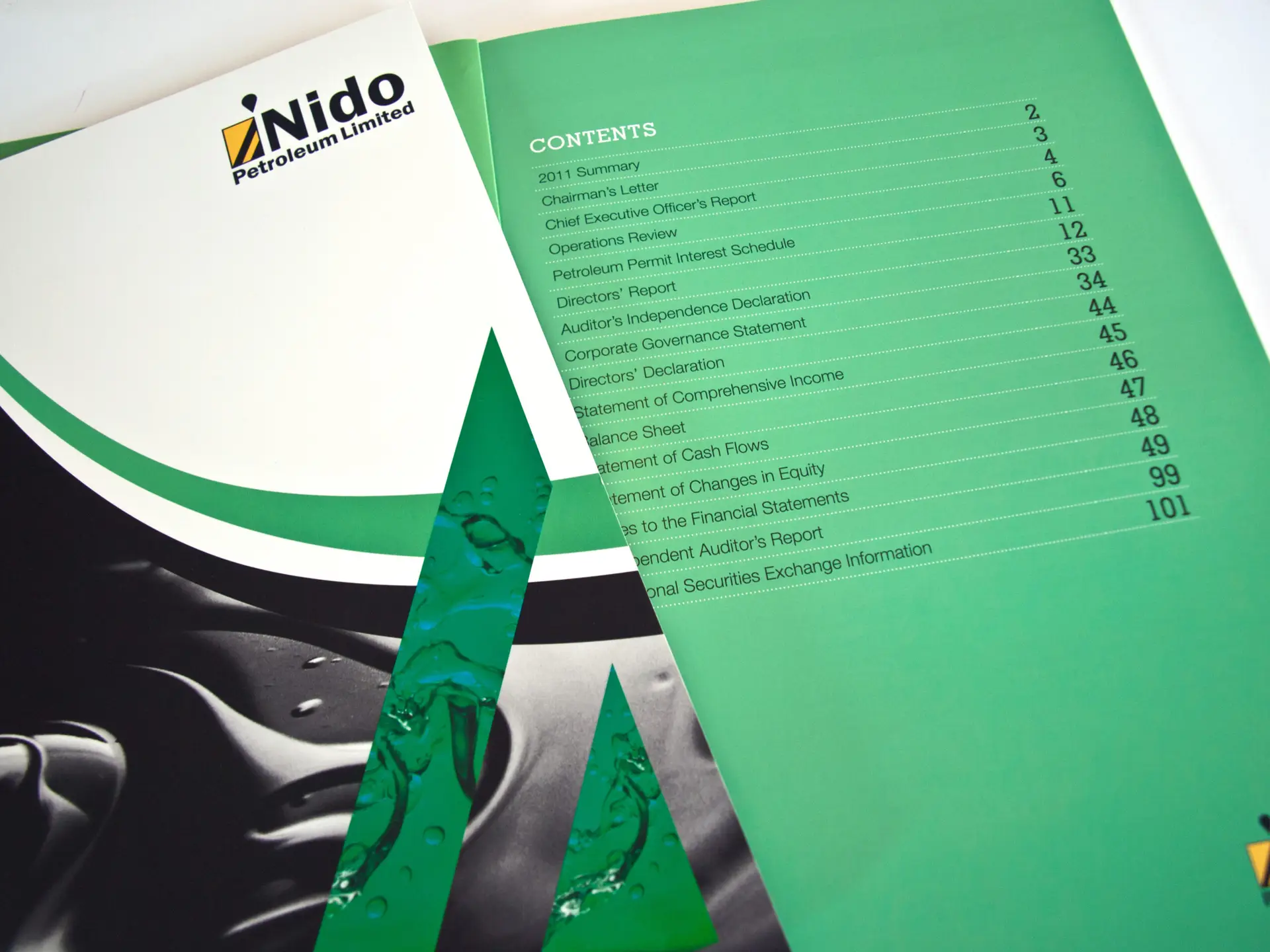 nido2011