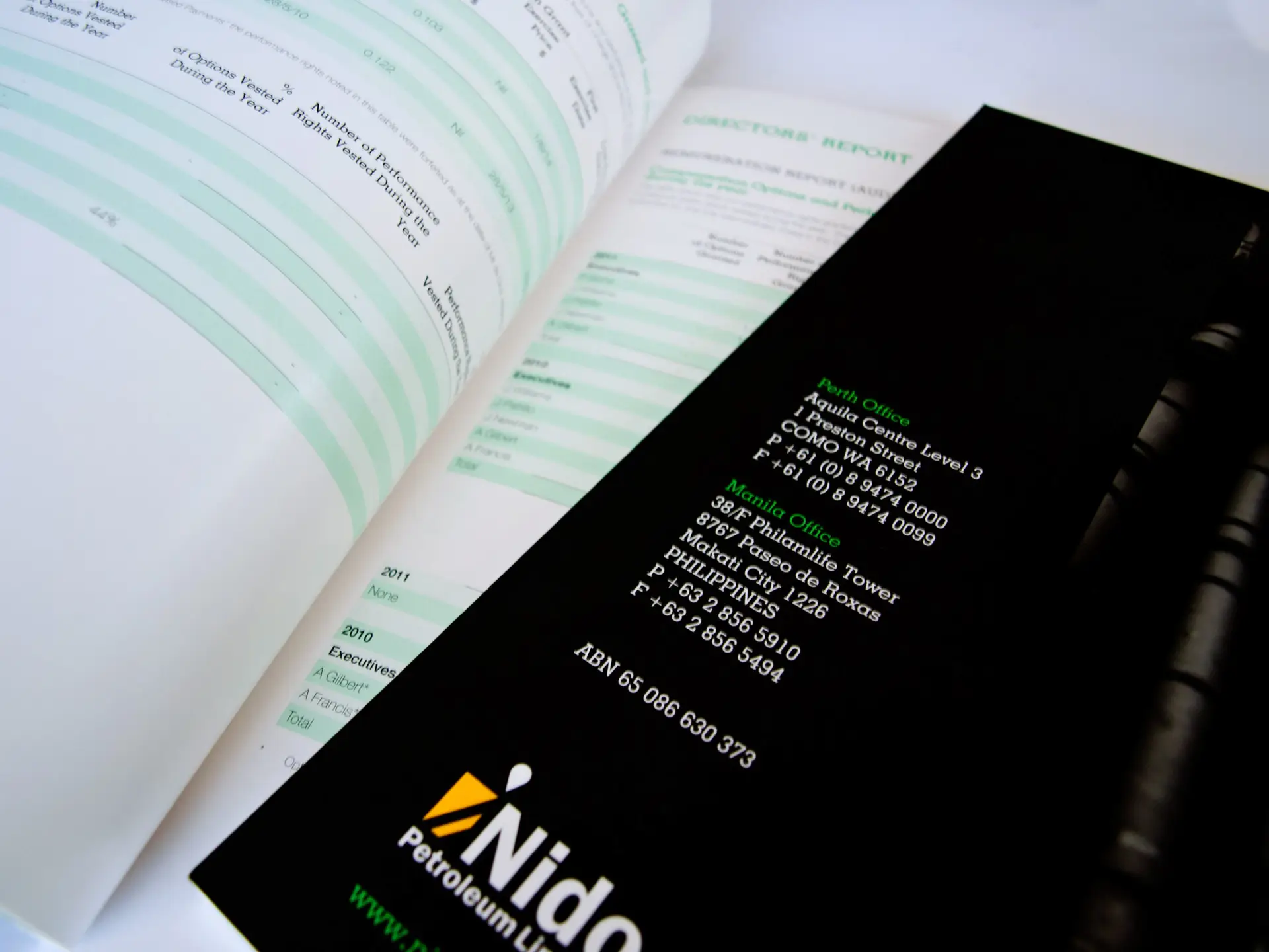 nido2011inside